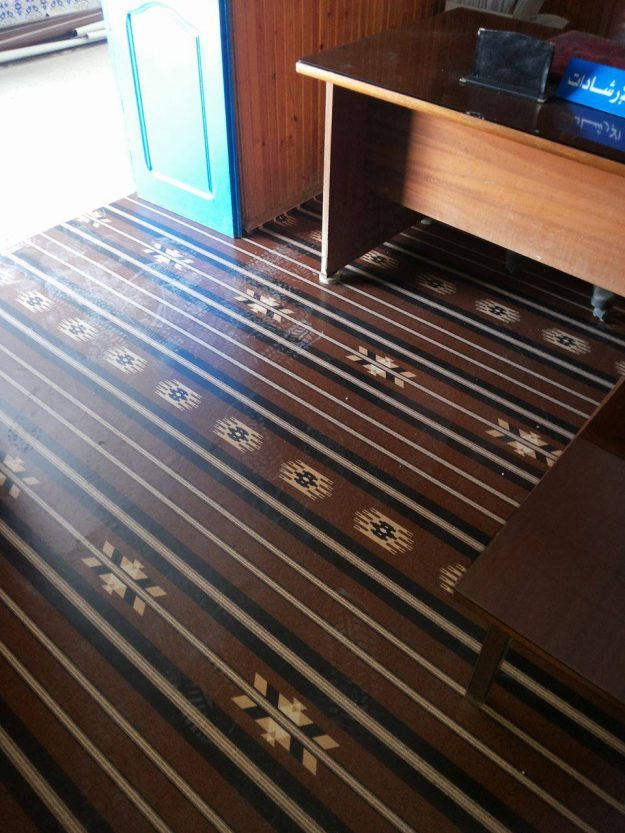 20495413_10214029051860064_972985500_o